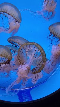 Denver Aquarium photo 4