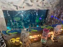 Denver Aquarium photo 5