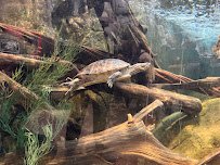 Denver Aquarium photo 6