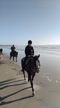 Surfside Ranch photo 3