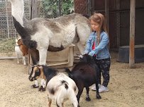 Surfside Ranch photo 5