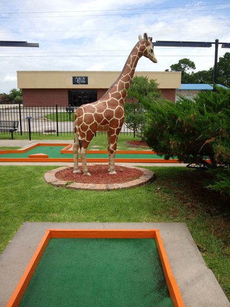 Putt-Putt Golf photo 6