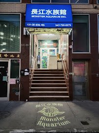 Monster Aquarium Inc - Shop in Queens New York