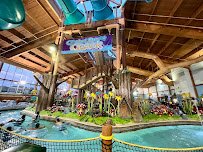 Zehnder's Splash Village photo 4