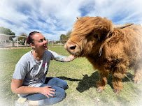 Rebel Hearts Ranch photo 3