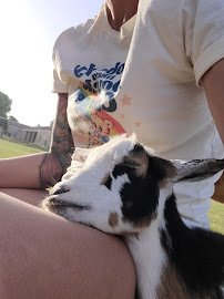 Rebel Hearts Ranch photo 5