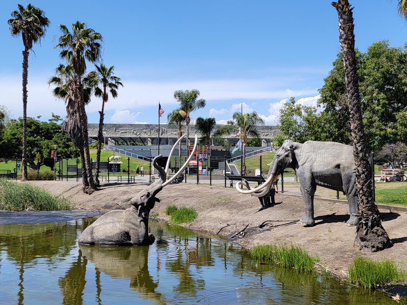 La Brea Tar Pits and Museum photo 3