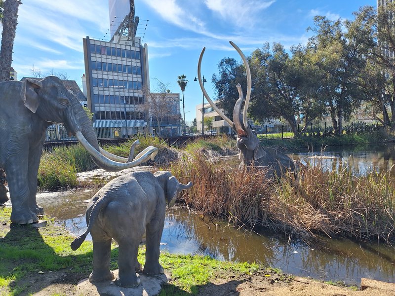 La Brea Tar Pits and Museum photo 4