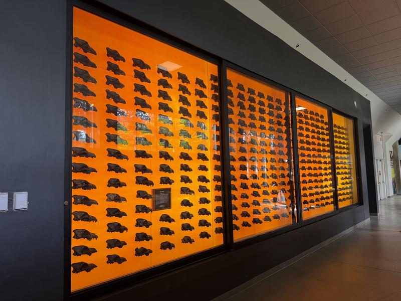 La Brea Tar Pits and Museum photo 5