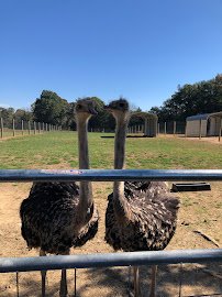 Liberty Acres Animal Haven & Equine Rescue photo 3