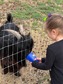 Liberty Acres Animal Haven & Equine Rescue photo 5