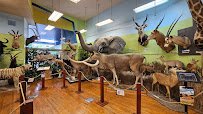 Buena Vista Museum of Natural History & Science photo 3