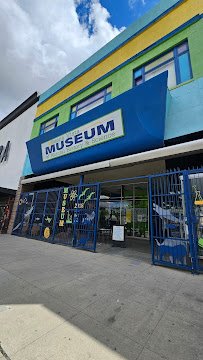 Buena Vista Museum of Natural History & Science photo 4