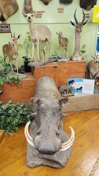 Buena Vista Museum of Natural History & Science photo 5