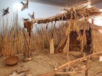 Buena Vista Museum of Natural History & Science photo 6