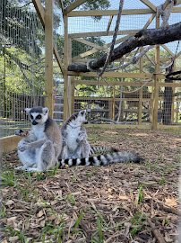 Moore Exotic Animal Ranch photo 2