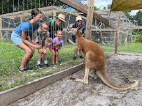 Moore Exotic Animal Ranch photo 3