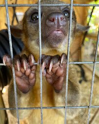 Moore Exotic Animal Ranch photo 6