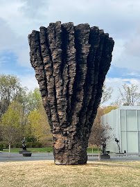 North Carolina Museum of Art photo 6