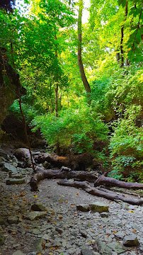 Jonahs Aquarium photo 2