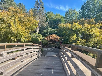 Tsuru Japanese Garden