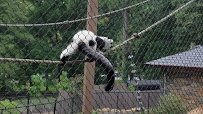 Brandywine Zoo photo 2