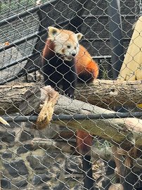 Brandywine Zoo photo 4