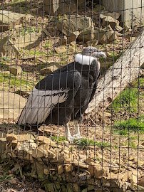 Brandywine Zoo photo 5