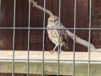 Brandywine Zoo photo 6