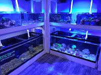 Aqua Lab Aquaria photo 2