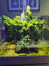Aqua Lab Aquaria photo 3