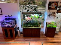 Aqua Lab Aquaria photo 4