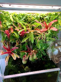 Aqua Lab Aquaria photo 5