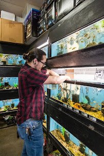 Tropical Treasures photo 2