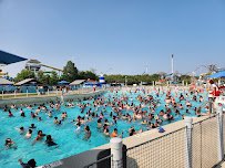 Carolina Harbor photo 5