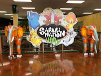 Safari Nation High Point