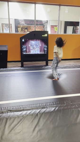 Sky Zone photo 4