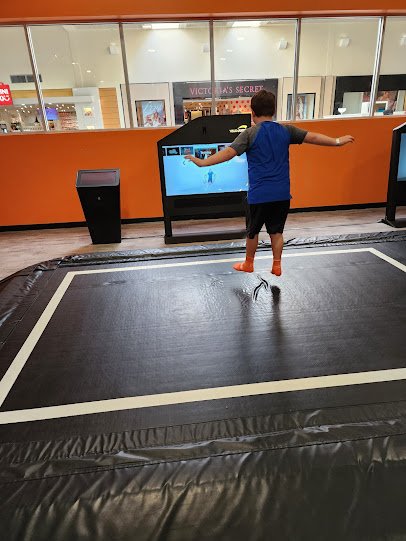 Sky Zone photo 6