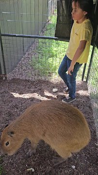 The Dunham Farm / Dunham Farm Wildlife Park / Petting Zoo photo 2