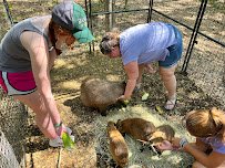 The Dunham Farm / Dunham Farm Wildlife Park / Petting Zoo photo 4