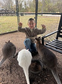 The Dunham Farm / Dunham Farm Wildlife Park / Petting Zoo photo 5