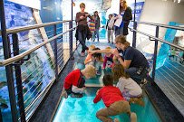 Discovery World's Reiman Aquarium photo 4