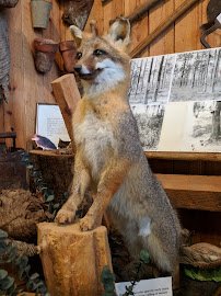 Baker Block Museum photo 5