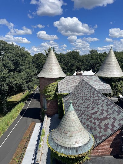 deCordova Sculpture Park and Museum photo 6