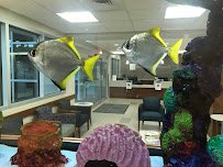 Aquatic Creations Group Inc