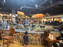 Kalahari Waterpark Resort Convention Center photo 5