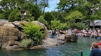 Central Park Zoo photo 2