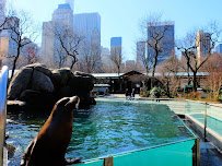Central Park Zoo photo 4