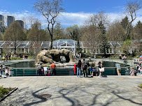 Central Park Zoo photo 5