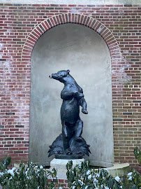 Central Park Zoo photo 6
